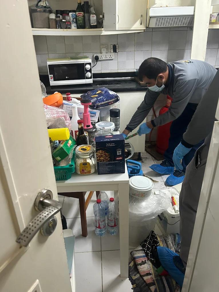 Pest Killer Near Me in Dubai | Professional Commercial & Residential Pest Control Services