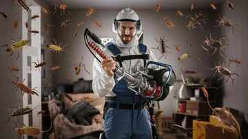 Pest Dubai Complete Guide to Professional Pest Control Services in Dubai