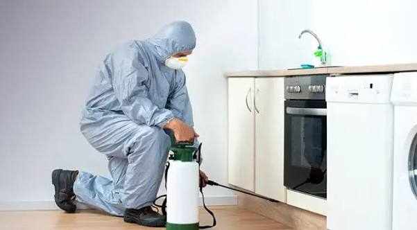 All Type Pest Control in Dubai  Complete Pest Control Services for Homes & Businesses