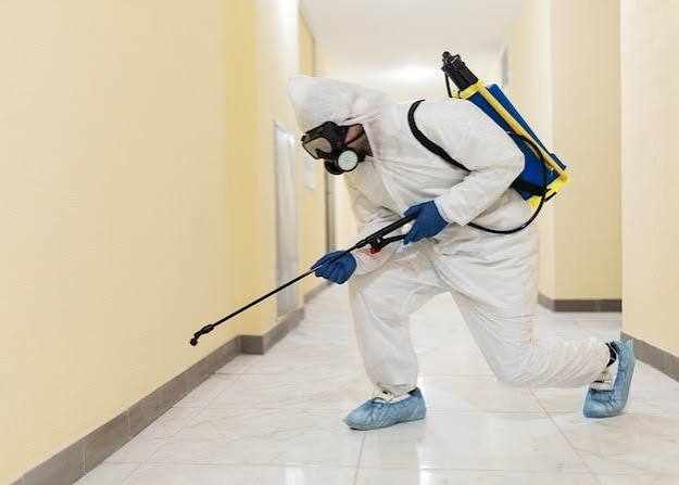 Pest Understanding Pest Problems and Professional Pest Control in Dubai