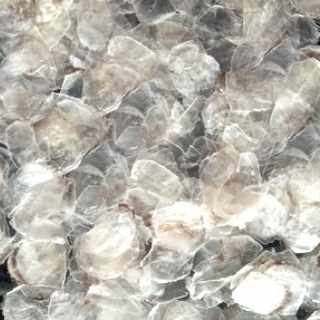 Eu Certified Collagen Marine Products | Nizonamarineproducts.com