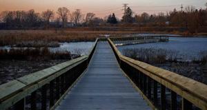 FAQs: Benefits of Replacing Wooden Walkways with Concrete