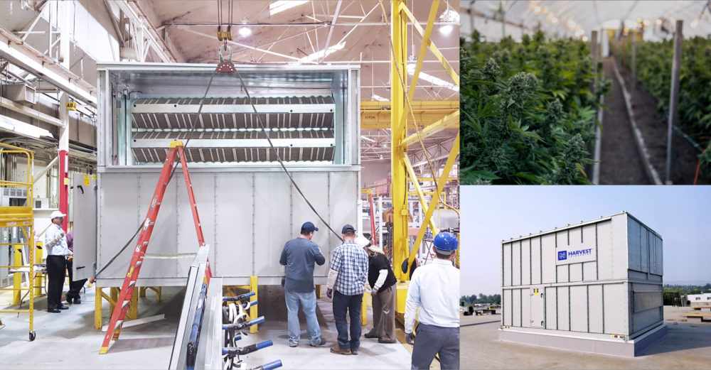 Grow Room Climate Control Setup