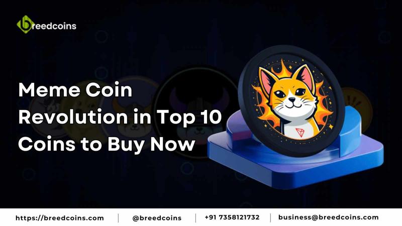 Meme Coin Revolution in Top 10 Coins to Buy Now