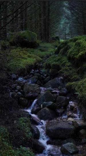 Character Description