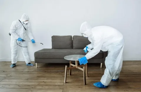 The Hidden Dangers of Animal Feces and Cat Urine in Cincinnati, Ohio