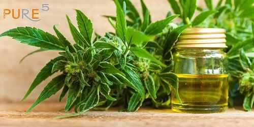 The Latest Innovations in Hemp and Cannabis Extraction Technology