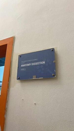 Chapter Three: Ragging