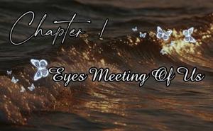 Chapter - 1 : Eyes Meeting Of Us