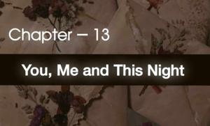 Chapter — 13 : You, Me and This Night