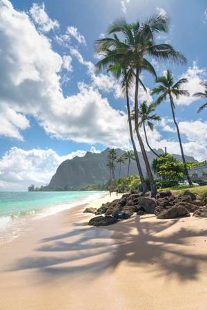 Chapter 5: The Island