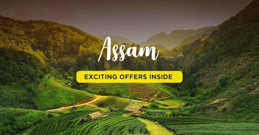 Assam Family Holiday Packages: A Perfect Blend of Fun & Relaxation