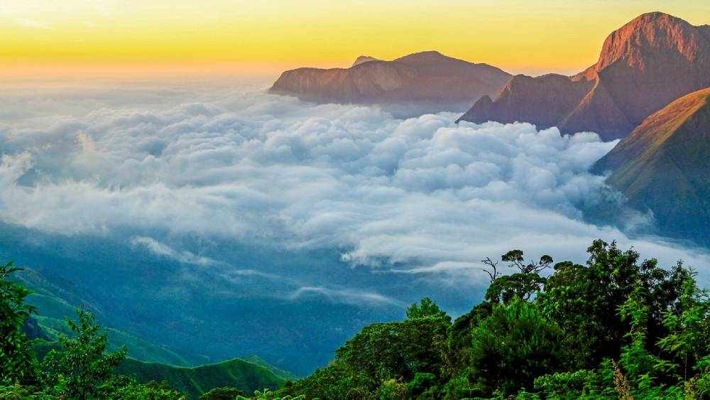 Munnar Honeymoon Packages – A Romantic Escape in the Hills