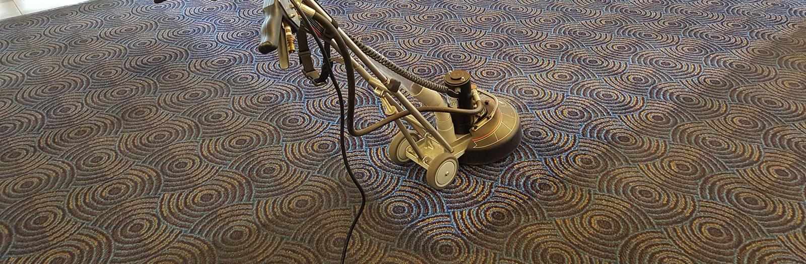 How Much Does Carpet Cleaning Cost in Adelaide?
