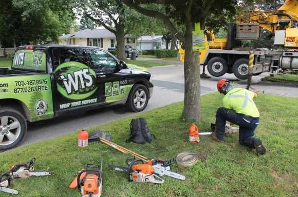 Arborist Service Muskoka Professional Care for Healthy and Safe Trees