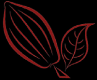 Cocoa production