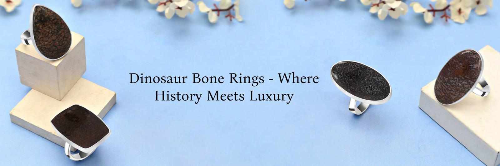 Ancient Elegance: Dinosaur Bone Rings