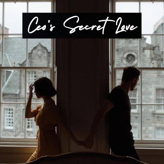 Ceo's Secret Love