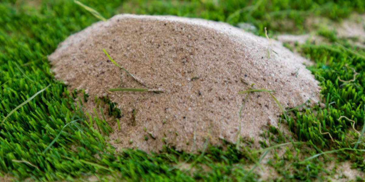 Silica Sand Landscaping: Latest Trends And Design Idea
