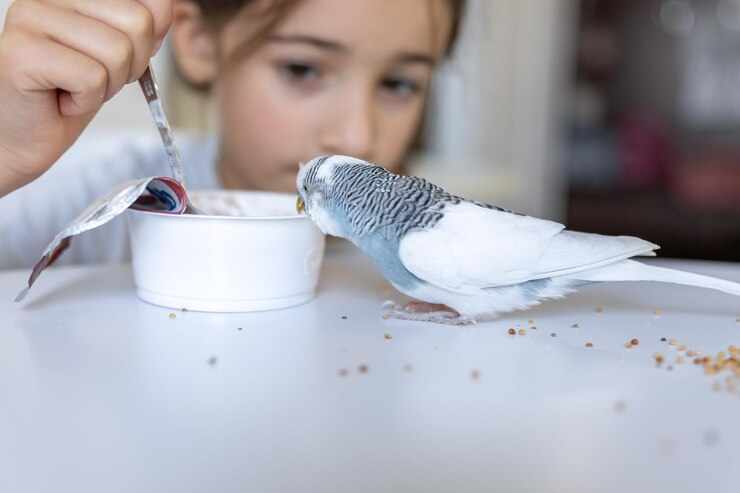 What Do Parrots Eat? A Comprehensive Guide to Parrot Nutrition
