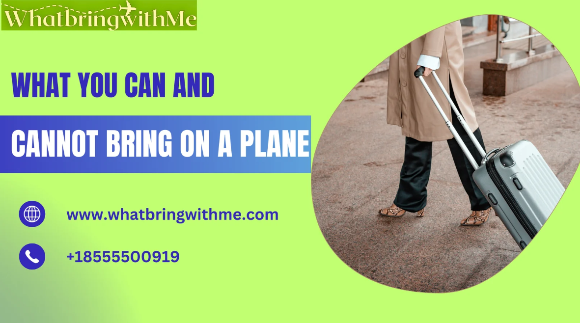 TSA Guidelines: What You Can and Cannot Bring on a Plane