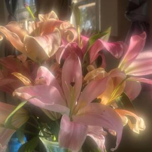 Rafika yasmin Khatun logo