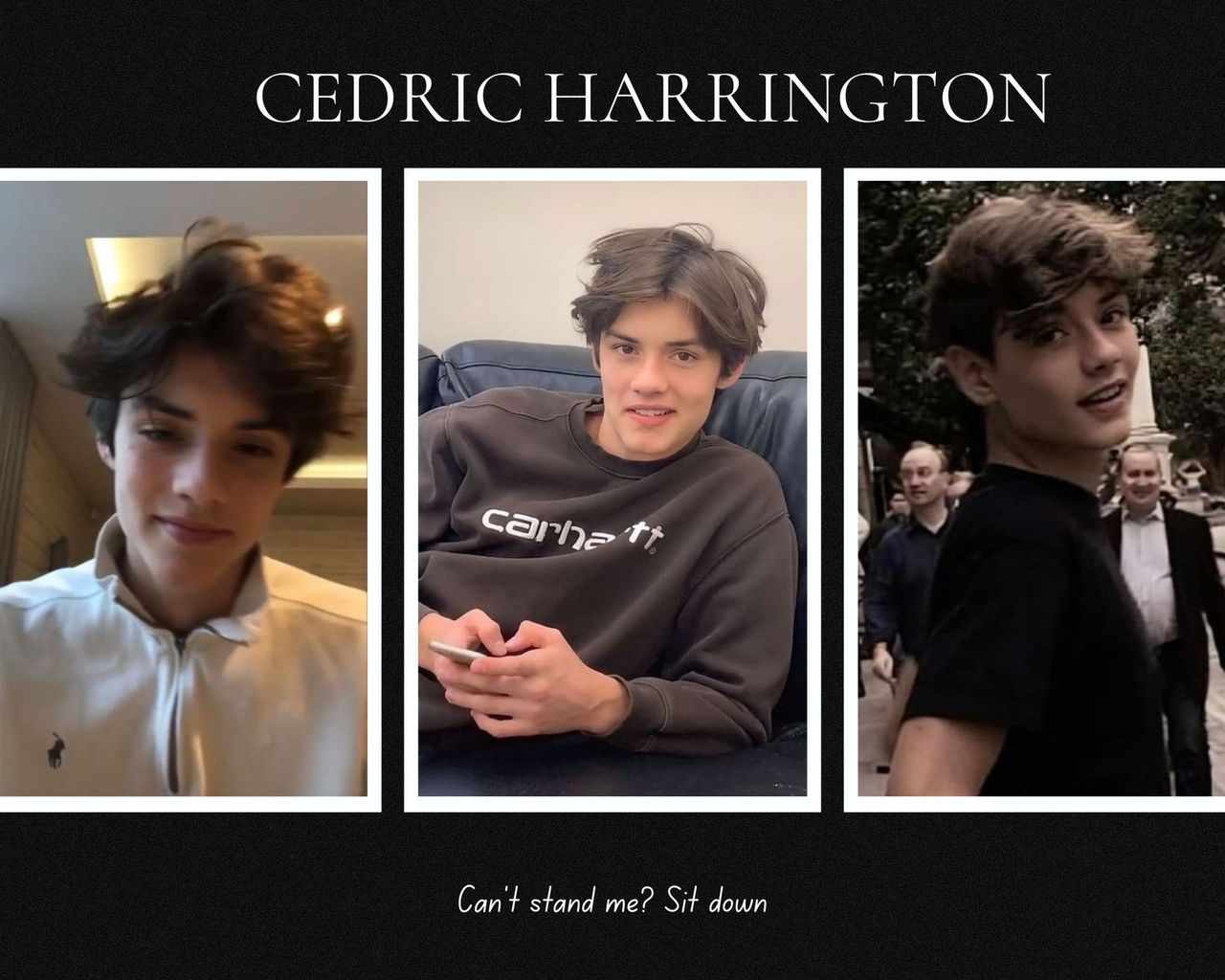 They bicker all the time, like enemies