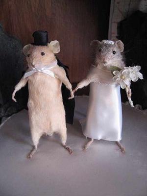 Congratulations on the Wedding