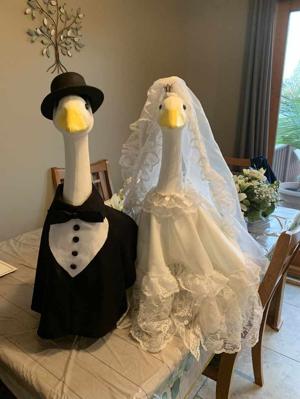 Why Am I Married?!