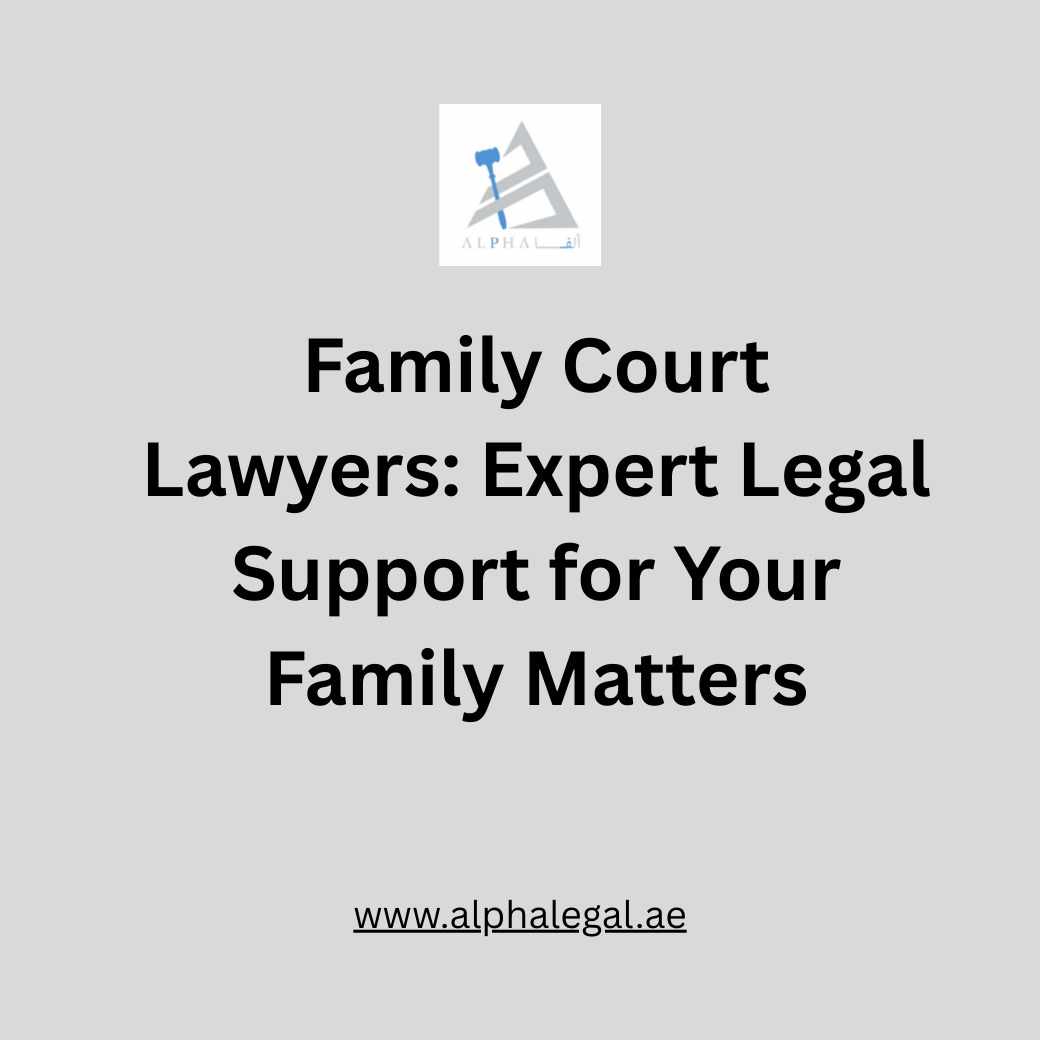 Family Court Lawyers: Expert Legal Support for Your Family Matters