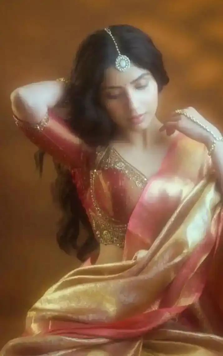 Saree beauties