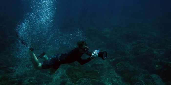Petro Divers – Experience the Thrill of Mallorca’s Hidden Ocean World