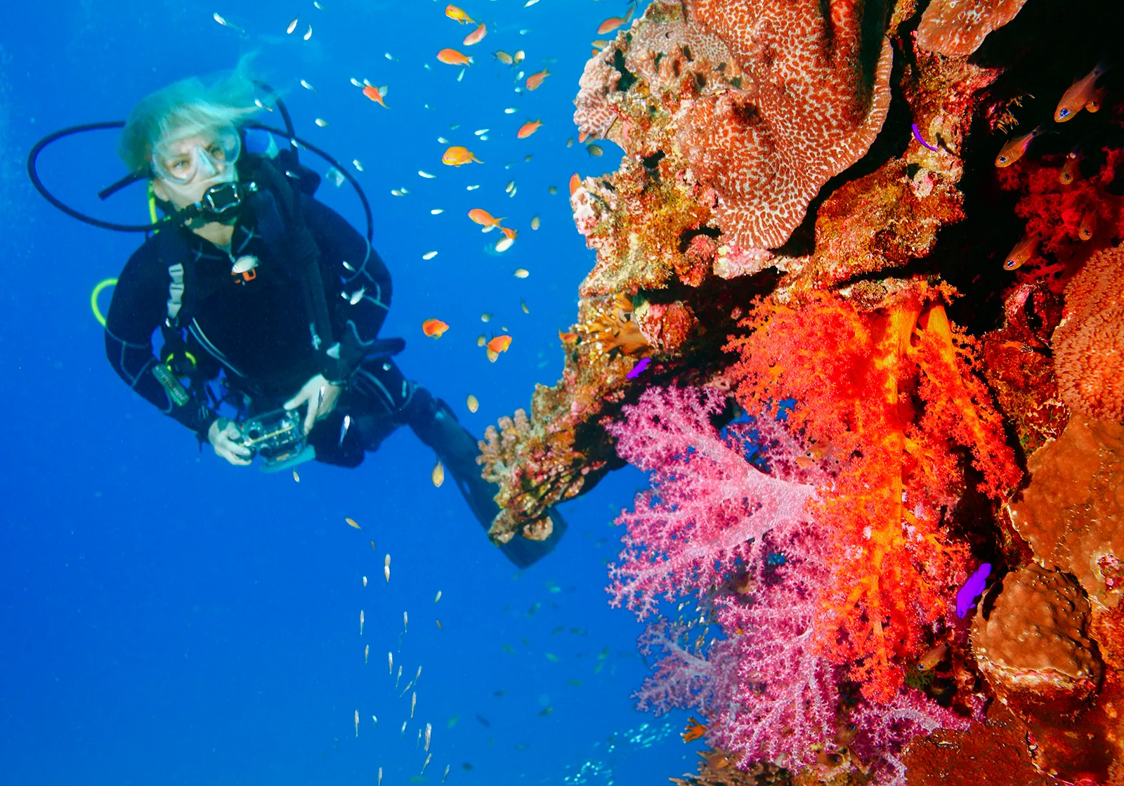 Have an Unforgettable Mallorca Diving Experience with Petro Divers