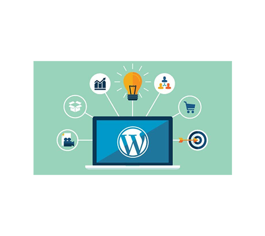 Transform Your Online Presence with WP Tangerine's WordPress Website Development Services