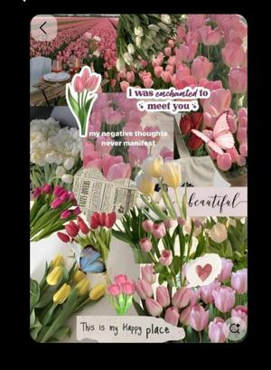 @Author_Tulip_Love logo