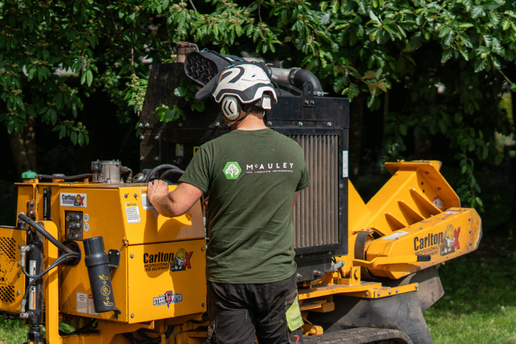 Need Trusted Firewood Suppliers & Tree Surgeons in NI Today?
