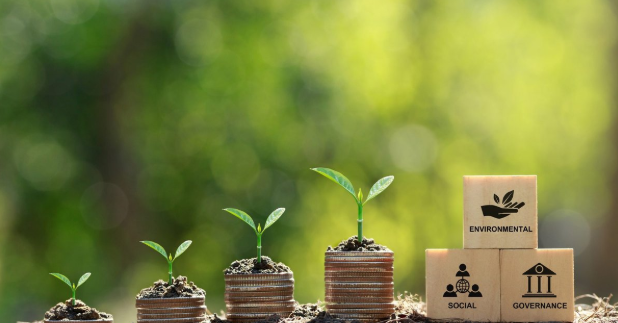 Linking UAE ESG Reporting With Net Zero Commitments