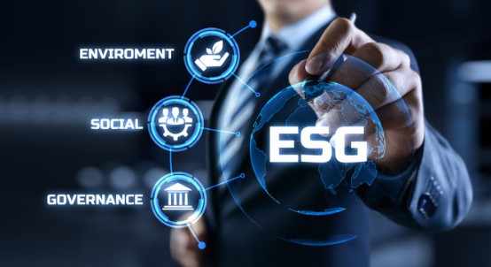 How ESG Consulting Helps CSOs Drive Sustainable Strategy in Australia