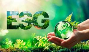 How CSO Consulting Can Support Australian Businesses