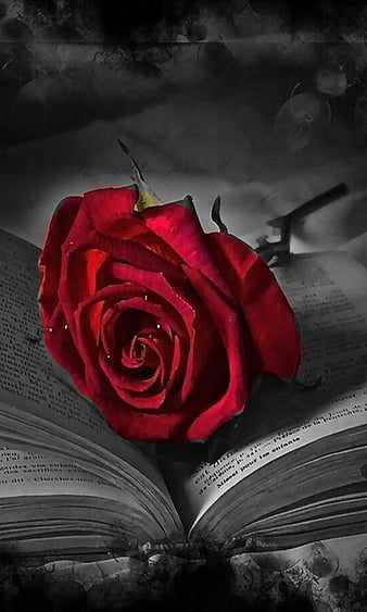 Hidden love