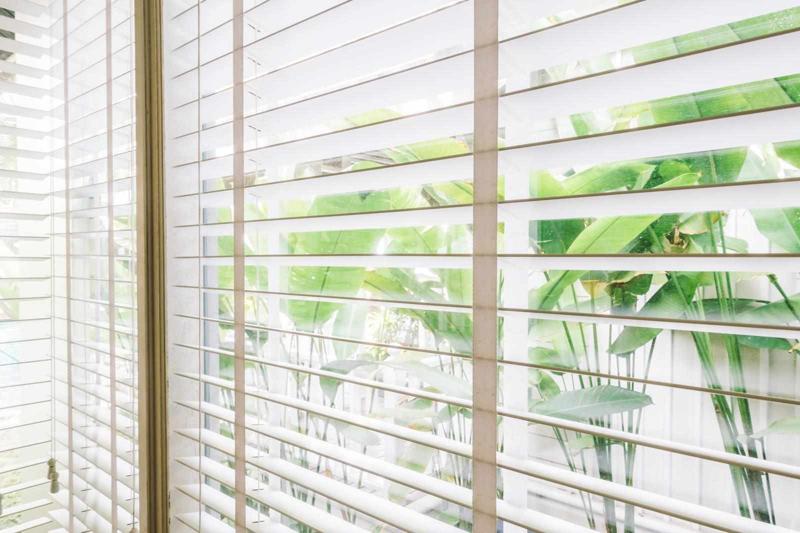 Blinds Auckland