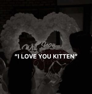 āI love you kittenā