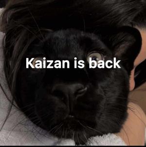 āKaizan is backā