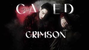 CIC (intro+character aesthetics+playlist+blurb)