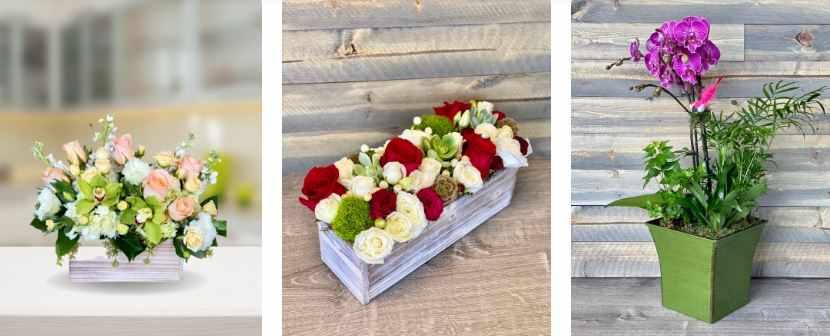 Palo Alto Florist Delivery for All Occasions and Fresh Bouquets