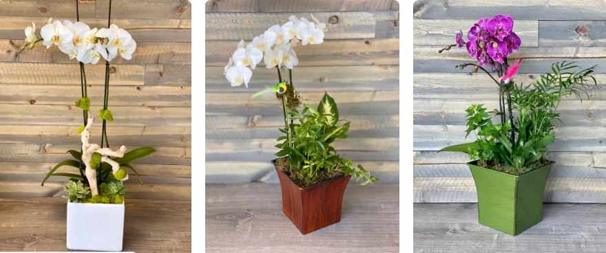 Fresh, Local, and On-Time Flower Delivery Belmont CA