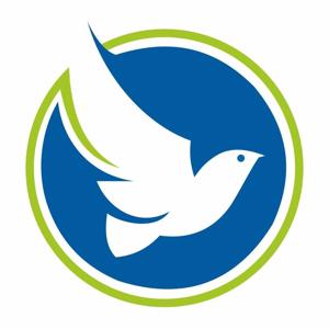 Bluebird Solar logo