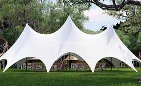 Canopy Stretch Tent