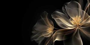 𝗗𝗲𝗱𝗶𝗰𝗮𝘁𝗶𝗼𝗻