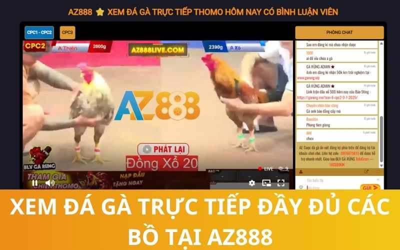 Xem Đá Gà Trực Tiếp Đầy Đủ Các Bồ Tại AZ888